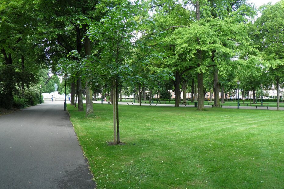 Champ de mars Colmar