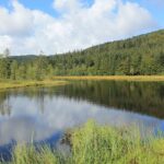 Lac dans les Vosges