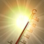 Colmar pendant la canicule : où se rafraîchir, quoi faire, infos utiles