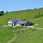 Ferme auberge dans les Vosges