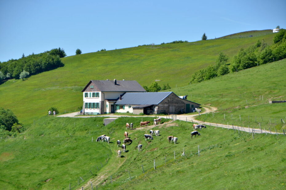 Ferme auberge dans les Vosges