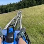 Luge d’été près de Colmar : 4 spots pour se faire plaisir