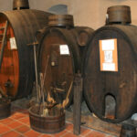 Une exploration sensorielle unique au Musée des Vins d’Alsace à Colmar
